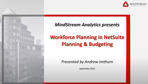 Work Force Planning in Netsuite Planning and Budgeting